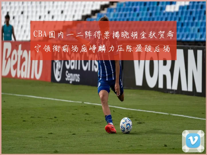 CBA国内一二阵得票揭晓胡金秋贺希宁领衔前场庞峥麟力压陈盈骏后场